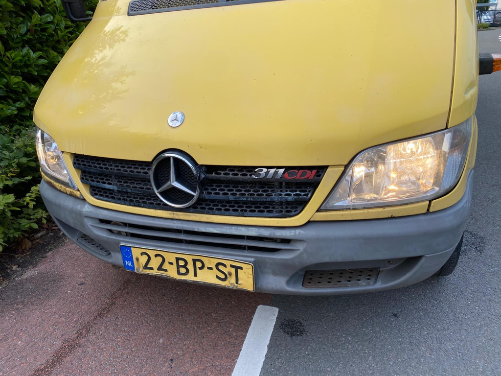 45593418-5.jpg