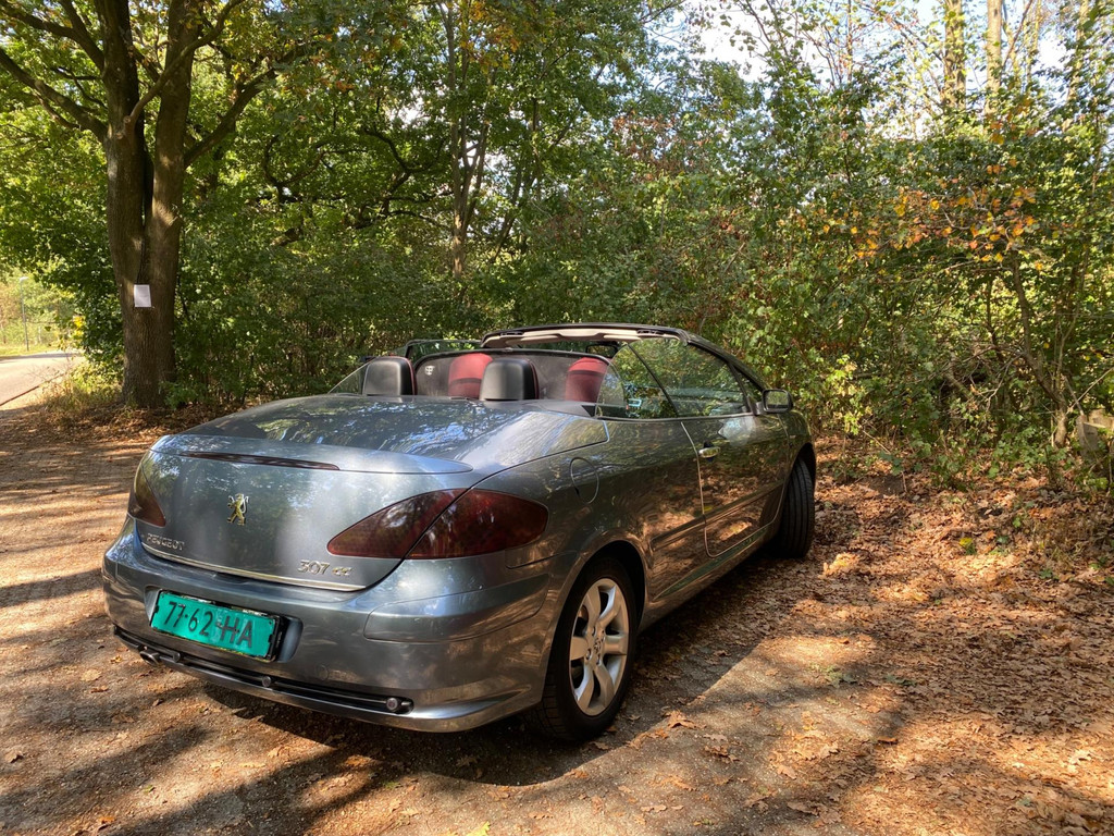 47449079-17.jpg