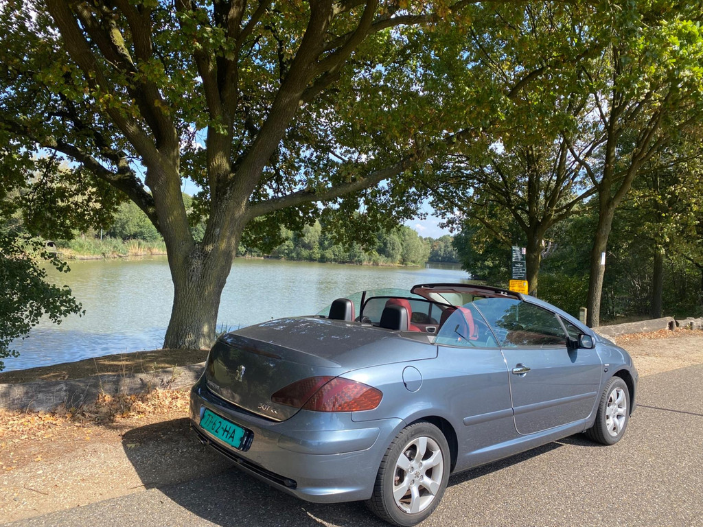 47449079-2.jpg