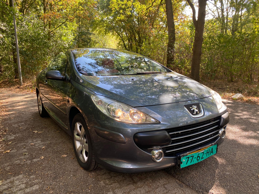 47449079-20.jpg
