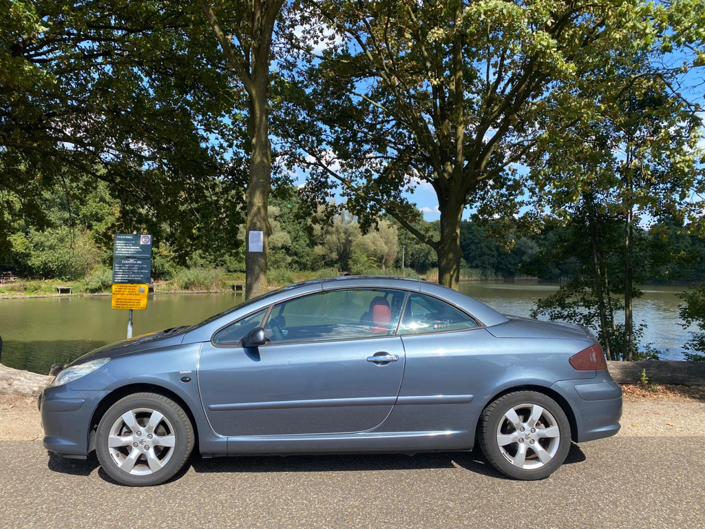 47449079-24.jpg
