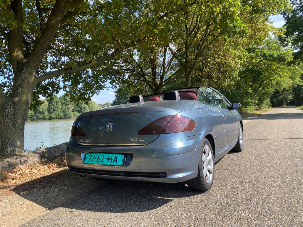 47449079-3.jpg